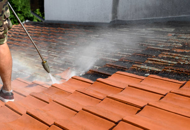 Best Concrete Pressure Washing  in Dilworth, MN